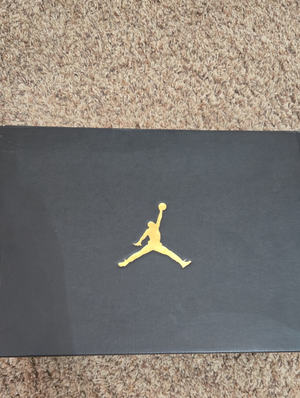 Nike Air Jordan 1 Low "Ashen Slate" - Picture 9 of 15